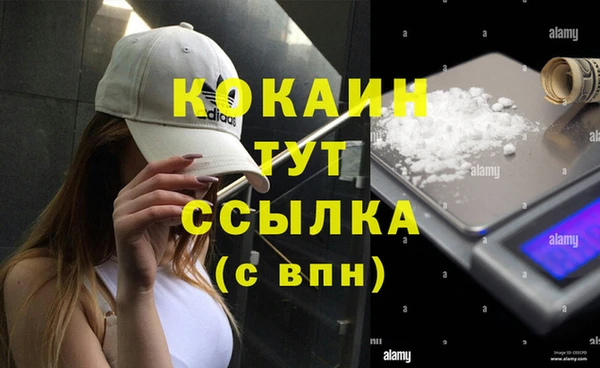 мдпв Белокуриха