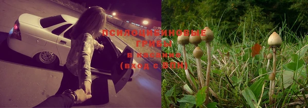 марихуана Белоозёрский