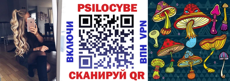 Купить закладки  Горно-Алтайск  Псилоцибиновые грибы Psilocybine cubensis 