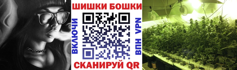 Конопля гибрид Купить где Горно-Алтайск